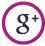 g+-icon